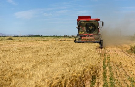 中國人民銀行：二季度涉農(nóng)、普惠金融貸款持續(xù)增長