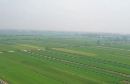 新一輪糧食產(chǎn)能提升行動(dòng)拓展增產(chǎn)空間