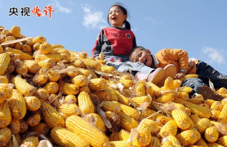 央視快評：把鄉(xiāng)村全面振興的美好藍(lán)圖變?yōu)楝F(xiàn)實