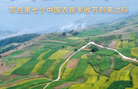 收獲，在希望的田野上——寫在第七個中國農(nóng)民豐收節(jié)到來之際