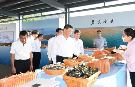 習(xí)近平：新時(shí)代新征程農(nóng)村一定會(huì)有更加光明的前景，農(nóng)民會(huì)有更加火熱的生活