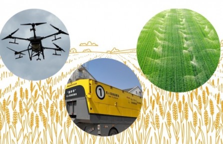 世界糧食日：糧食安全如何實(shí)現(xiàn)？新農(nóng)人、專(zhuān)家、倉(cāng)管員三重身份體驗(yàn)