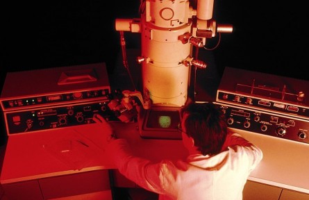 科技名詞|透射電子顯微鏡 transmission electron microscope；TEM