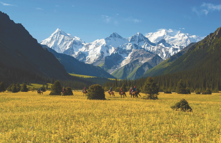 找準(zhǔn)負之源 抓住減之要 體現(xiàn)實之本——新疆基層干部談基層減負之變