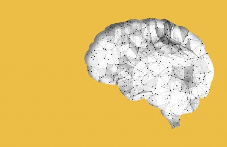 辟謠|腦袋大的孩子，一定聰明？