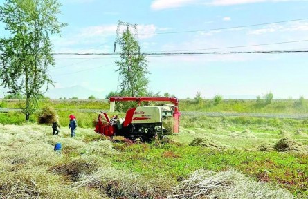 青海：農(nóng)牧業(yè)發(fā)展穩(wěn)中有增、勢頭良好