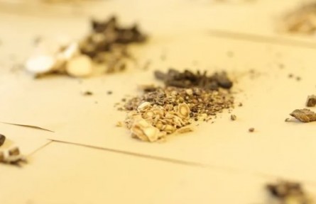 冬令進(jìn)補(bǔ)，怎么補(bǔ)你知道嗎？