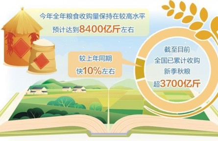 全年糧食收購預(yù)計達8400億斤左右——做好糧食流通大文章