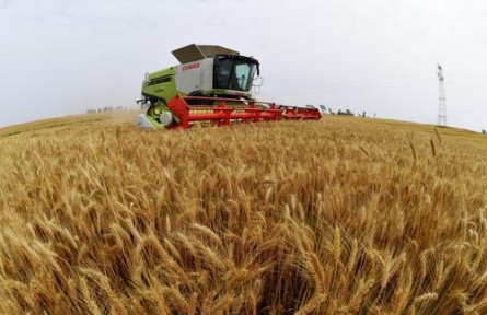 湖北襄陽(yáng)：2024年糧食產(chǎn)量94.73億斤 實(shí)現(xiàn)夏糧“三增”