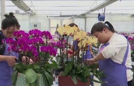 新疆優(yōu)質農牧產品遠銷國內外