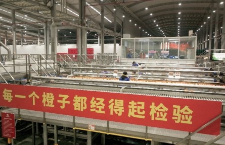 豐產(chǎn)如何豐收？從“贛南臍橙”看做好土特產(chǎn)大文章