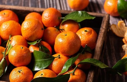 辟謠|砂糖橘致癌？柑橘不能吃了？別信謠言