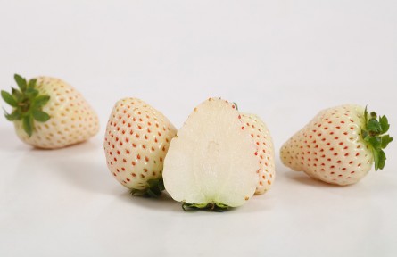 這些關(guān)于草莓的錯(cuò)誤說法，你信過嗎？