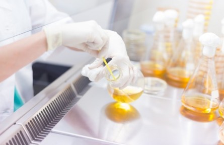 在生命科學(xué)研究中，人工智能發(fā)揮哪些作用？