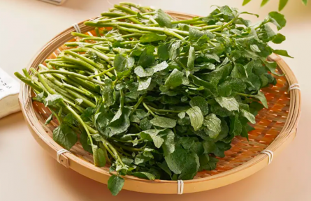 它被國外評為最具營養(yǎng)活力的蔬菜，但我打賭90%的人沒吃過