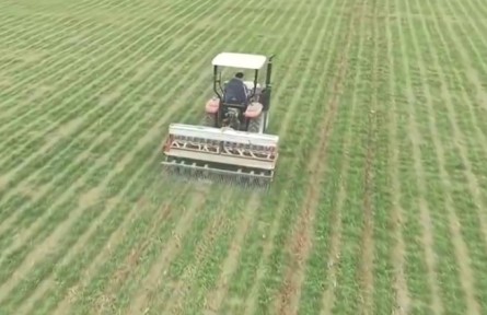 我國(guó)春管春耕由南向北陸續(xù)展開