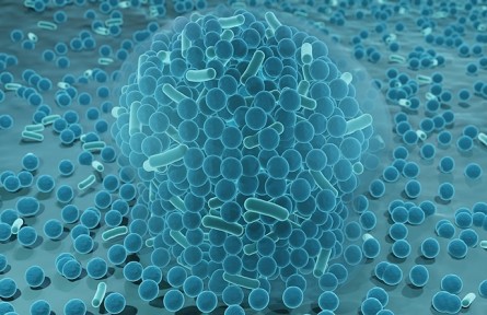 科技名詞|生物膜 biological membrane；biomembrane