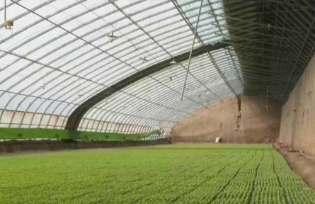 甘肅：做好農資供應 全力護航春耕生產