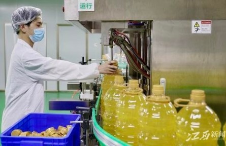 江西：推動(dòng)農(nóng)村消費(fèi)市場(chǎng)迸發(fā)更大活力