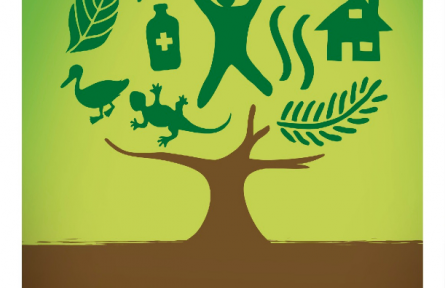 國際森林日|守護森林，守護生命之源