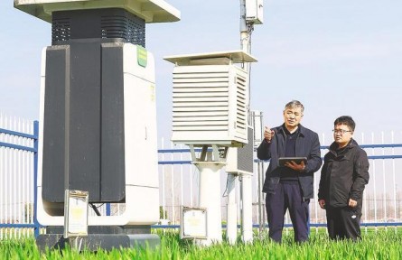 湖北襄陽：智慧農業(yè)科技范十足