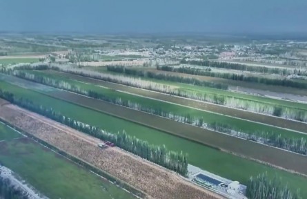 良種筑基 新疆挖潛創(chuàng)新打造西部糧倉