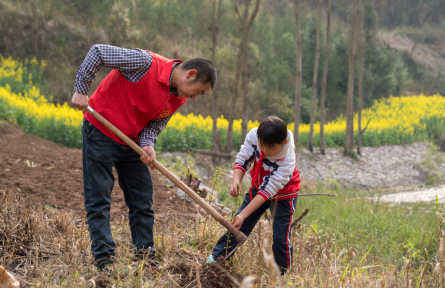 全民義務植樹運動 nationwide voluntary tree-planting campaign