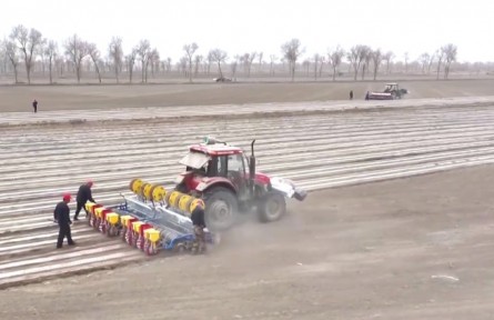 新疆兵團(tuán)各師團(tuán)：不負(fù)好春光 春播正當(dāng)時(shí)