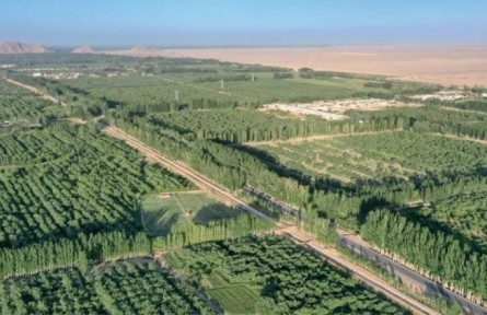 新疆：鞏固塔克拉瑪干沙漠邊緣阻擊戰(zhàn)鎖邊成果