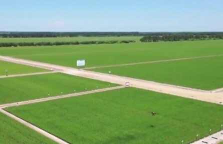 黑龍江：豐收“底氣”的由來