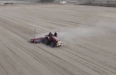 新疆昆玉：沙漠水稻開播耕種 改良土質(zhì)提高經(jīng)濟效益