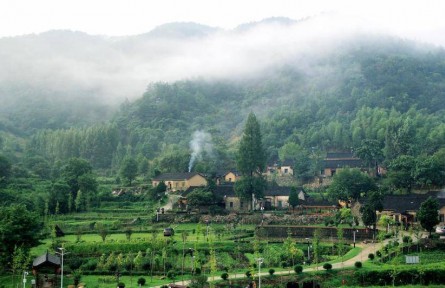 湖北麻城：茯苓窩的生態(tài)價(jià)值轉(zhuǎn)化之路