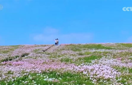 農(nóng)業(yè)農(nóng)村部推出“美麗鄉(xiāng)村游”60條精品線路 有何“亮點(diǎn)”？