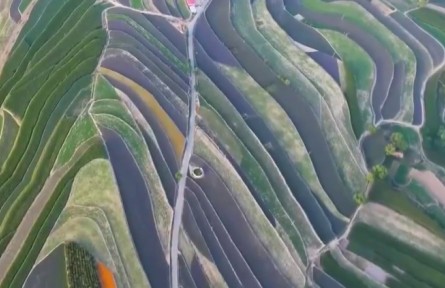 甘肅：千年藥鄉(xiāng)鍛造中醫(yī)藥產業(yè)強省