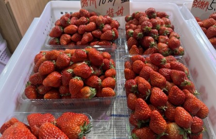 辟謠|最近不能吃草莓，因?yàn)橛小安葺痢保?></a></td>
<td align=