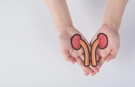 辟謠|一喝水就上廁所說明腎不好？吃黑色食物能養(yǎng)腎？來看真相