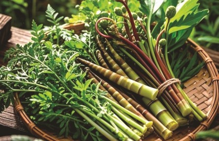 野菜嘗鮮季，如何避免舌尖風(fēng)險(xiǎn)