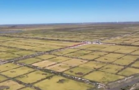 吉林：守住耕地紅線 端牢中國飯碗