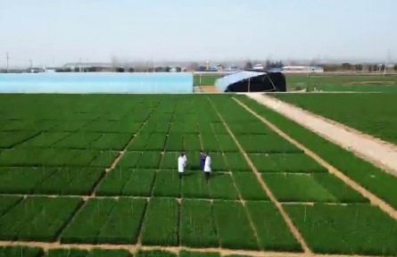 陜西寶雞：把科技成果落實到田間地頭