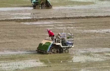 江西：早稻播栽過(guò)六成 農(nóng)機(jī)煥新效率高