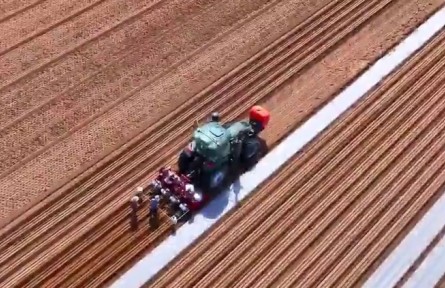 陜西榆林：強龍頭延鏈條 加快現(xiàn)代農(nóng)業(yè)全產(chǎn)業(yè)鏈建設(shè)