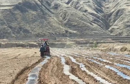 甘肅：科技助力生產 夯實豐收基礎