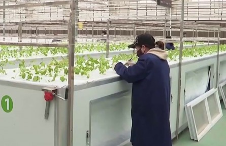 甘肅榆中：馬鈴薯春播進(jìn)入關(guān)鍵期 芯片檢測(cè)保駕護(hù)航