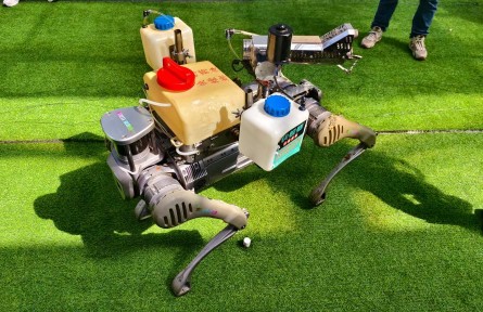 當“科技感”碰撞“文化味”——在壽光菜博會感受現(xiàn)代農業(yè)“新花樣”