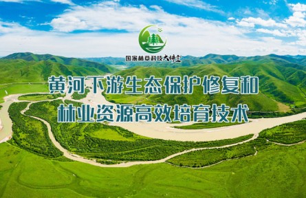黃河下游生態(tài)保護修復和林業(yè)資源高效栽培技術（系列講座視頻）