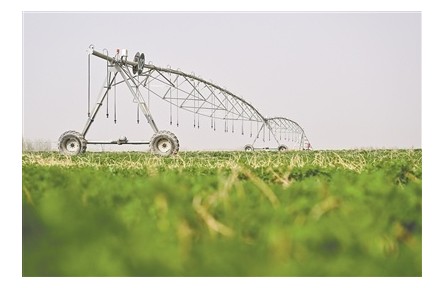 新疆阿克蘇地區(qū)：沙漠披“綠圍脖”，發(fā)展添“金鑰匙”