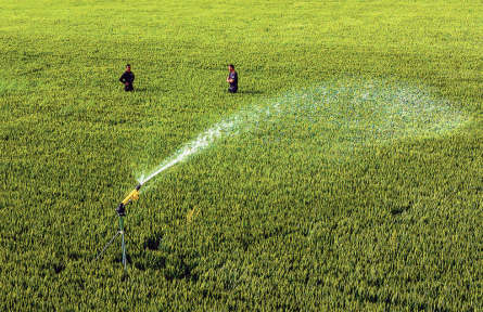 河南南陽：多措并舉抗旱保豐收