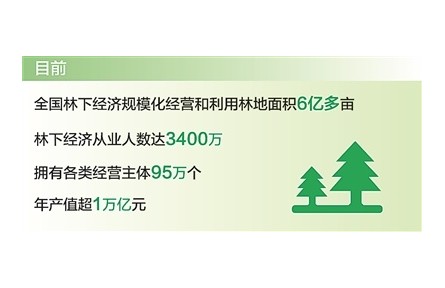 發(fā)展林下經(jīng)濟(jì)首次寫入《政府工作報(bào)告》 我國林下經(jīng)濟(jì)年產(chǎn)值超1萬億元