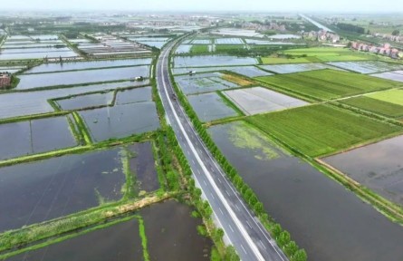 湖北江陵：小龍蝦“鏈”出大產(chǎn)業(yè)！繪就農(nóng)業(yè)發(fā)展新圖景