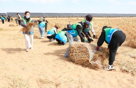 防沙治沙“新青年” 大漠深處“繪綠洲”